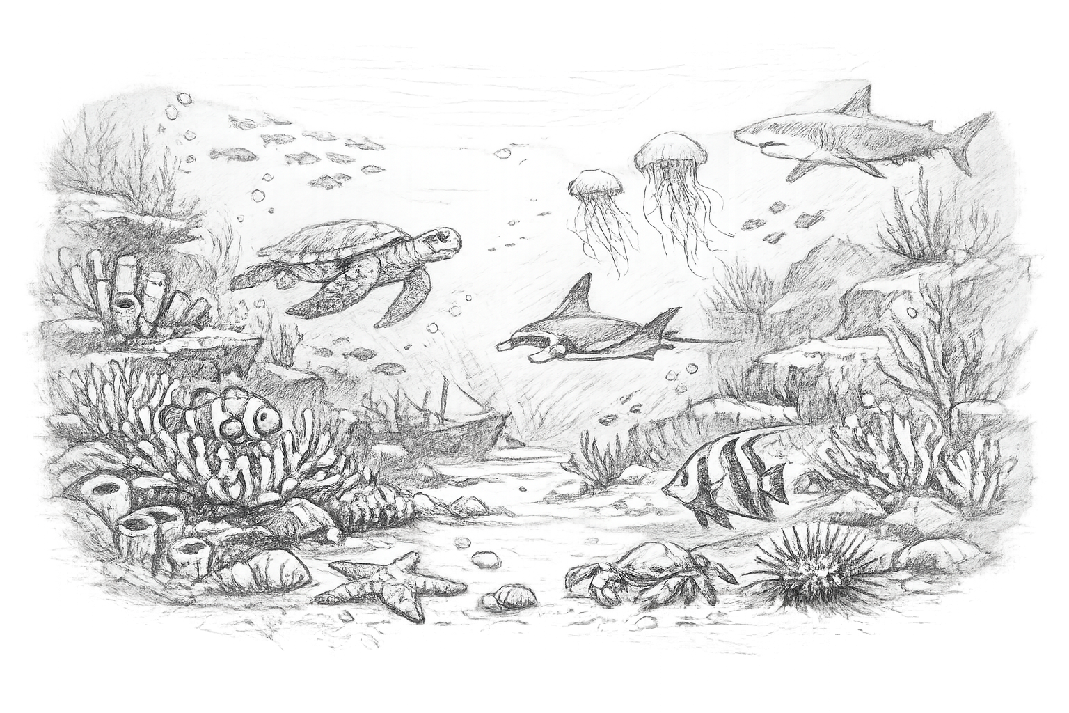 Entry into force of the High Seas Treaty (17 January 2026)