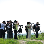 Le groupe en observation...