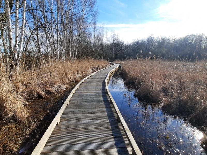 Découverte des oiseaux du Marais de Sacy